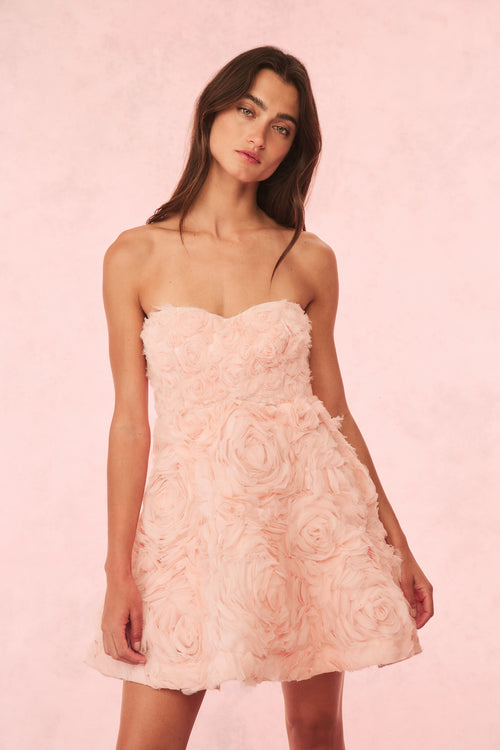 Bellamina Dress