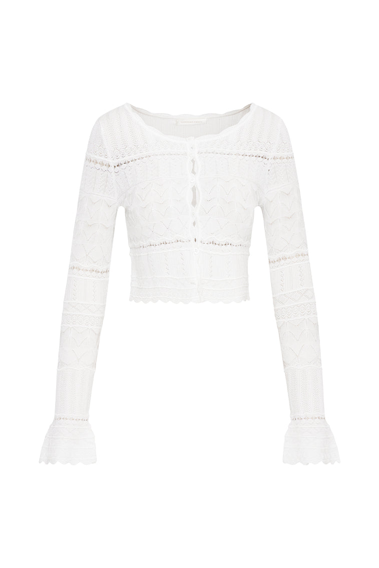 Media Pointelle Scallop Cardigan