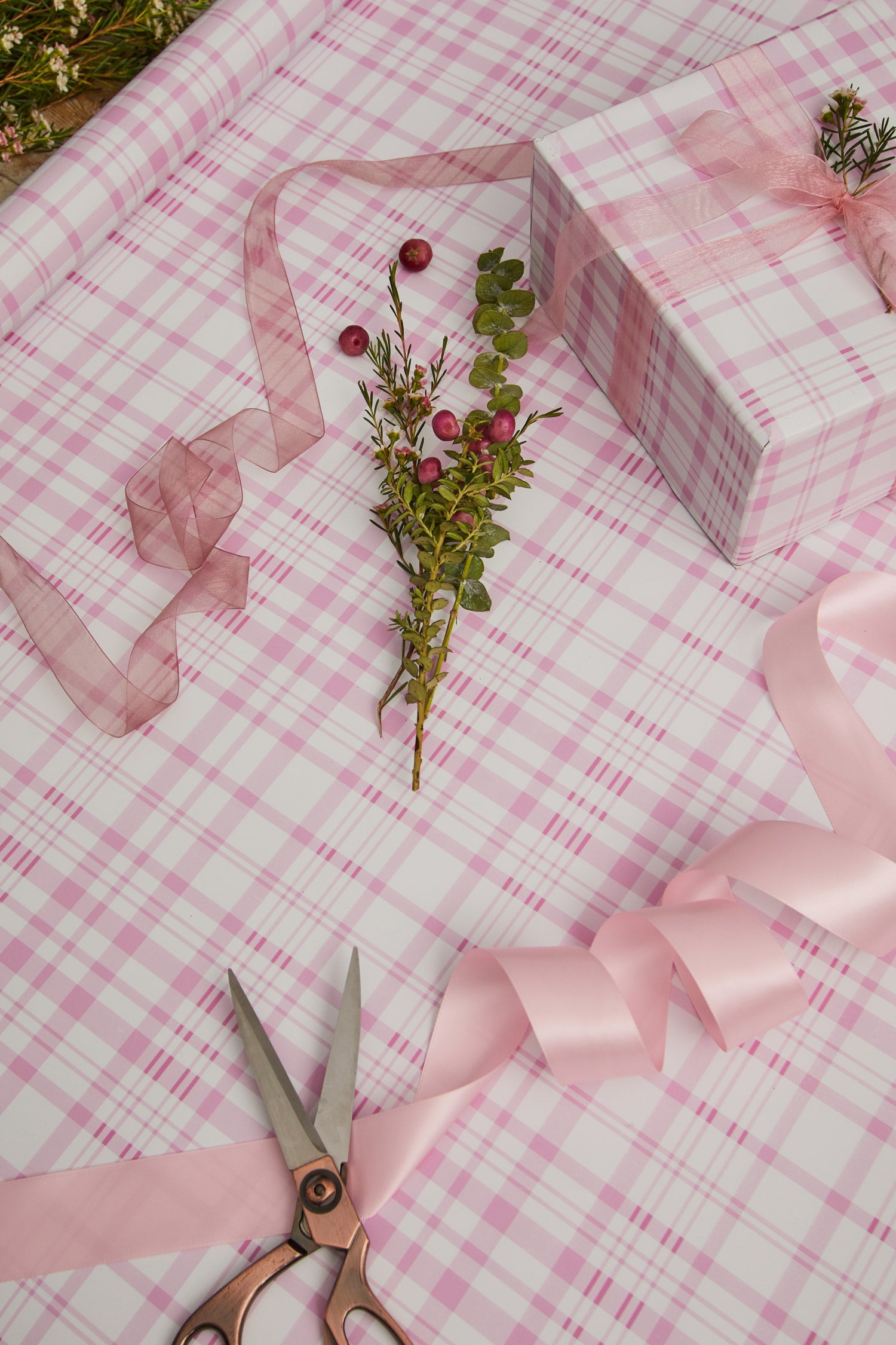 Pink Primrose Wrapping Paper